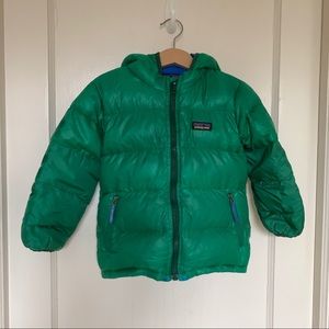 Patagonia Hi-Loft Down Hoody